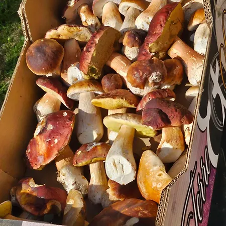 La Bourzede F3 Apartment Langeac